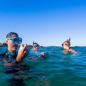 Snorkeling 5